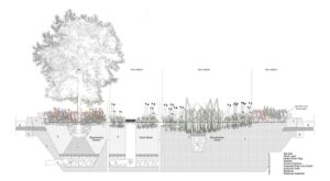 Image associated with the article: Reparative Ecologies of Return: Rewilding the El Segundo Gateway