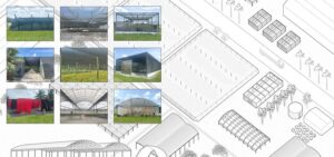 Image associated with the article: Cultivating Shade Equity: Architecture and Urban Arboriculture in Miami