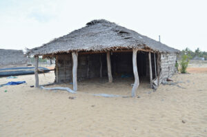 Image associated with the article: Challenges of Disaster Relief Housing: Evaluating Coastal Domestic Typologies  in Eastern Sri Lanka