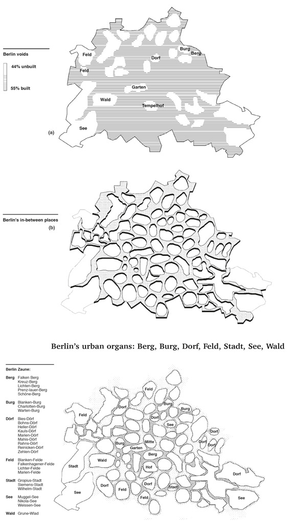 Conrad-Bercah_Fig07A_B_C.jpg