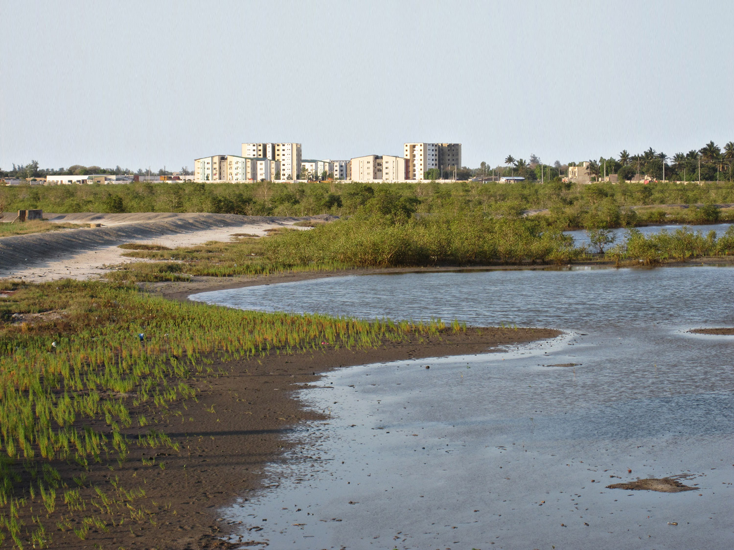 Fig-1_Progressive-urbanization-of-Maputo%27s-wetlands2-.jpg