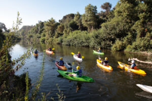 Image associated with the article: Rewilding the LA River:  Water, Legislation, and Precarious Futures