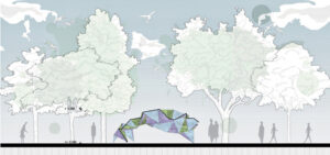 Image associated with the article: Seaweed Pavilion: Biomaterial-Based Tensegrity Structure