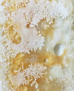 Image associated with the article: Salt as a Building Material: Current Status and Future Opportunities