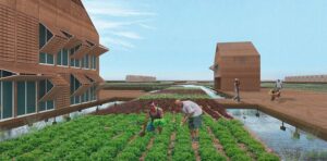 Image associated with the article: A Modular Approach to Colonia Landscapes in Texas’ Lower Rio Grande Valley
