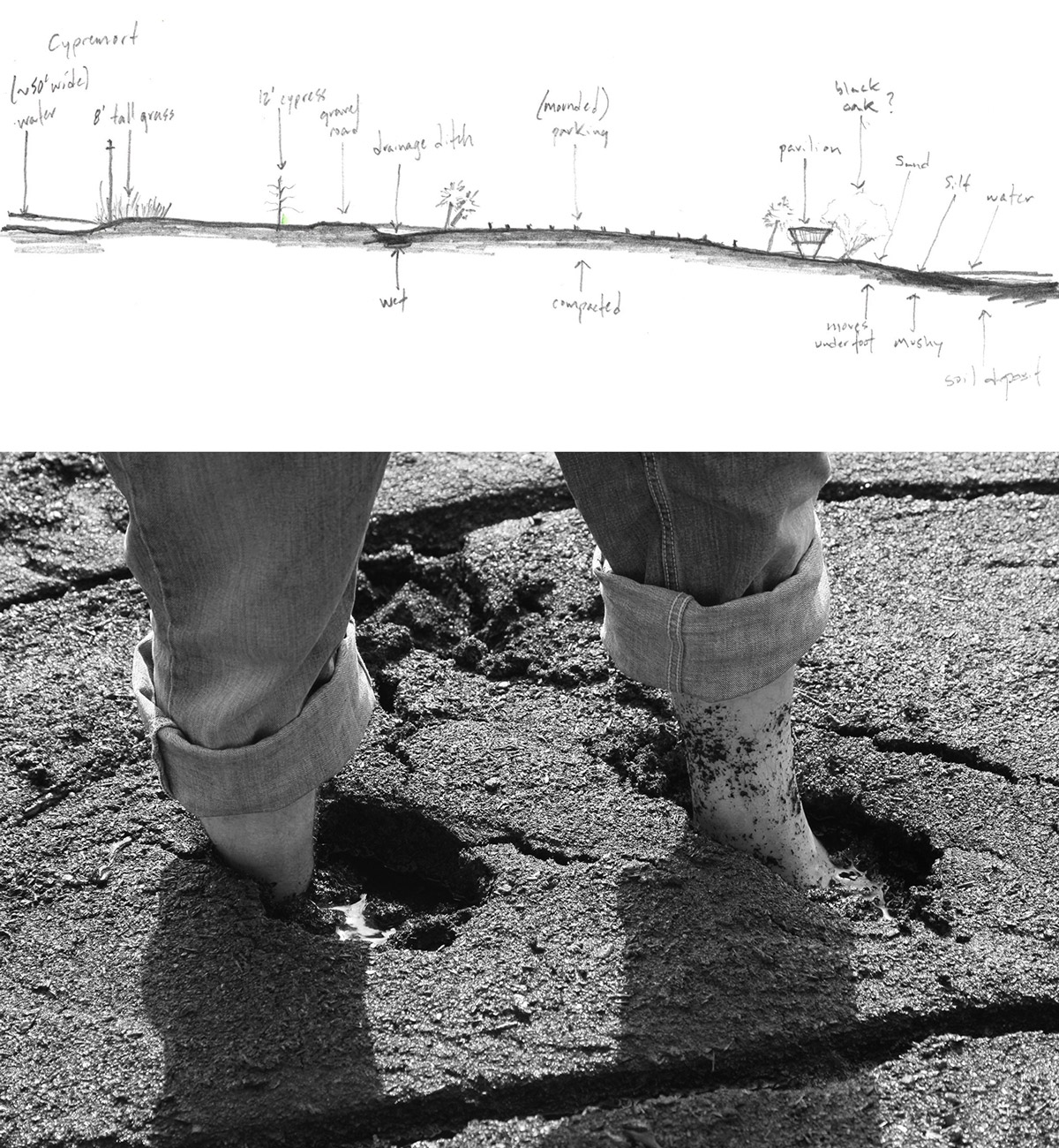 Figure-9.jpg
