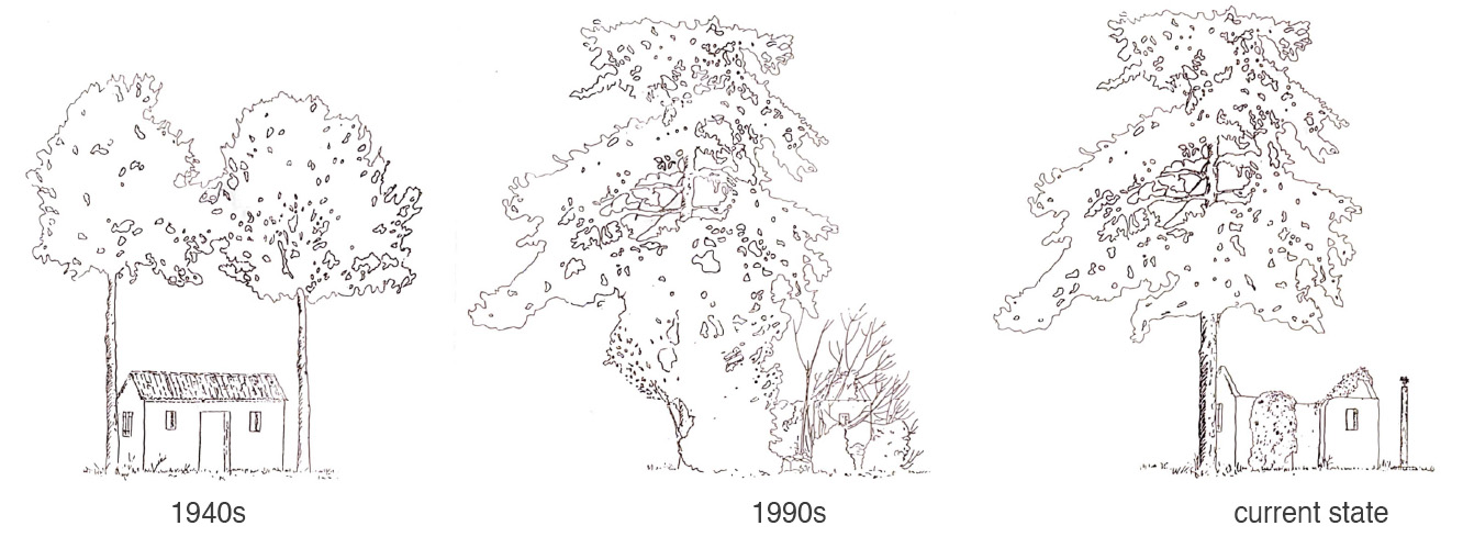 Figure%205_7.jpg