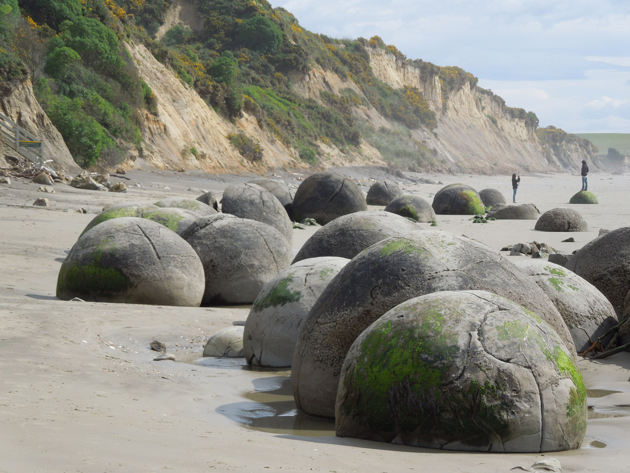 Figure4-MoerakiBoulders.jpg