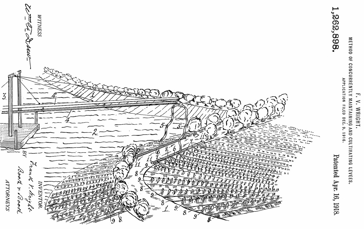 Hildle_IMAGE11.jpg