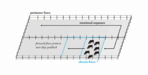 Image associated with the article: Expanding the Field: Virtual Fencing as Responsive Landscape Technology