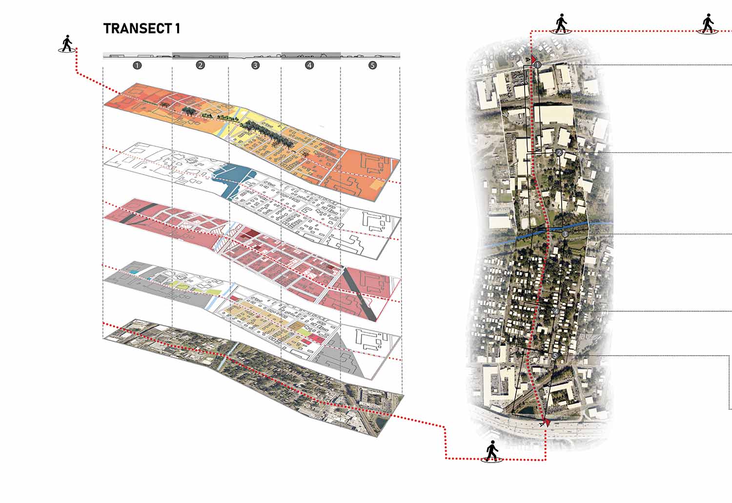 Transect%20part-01-Brisotto.jpg