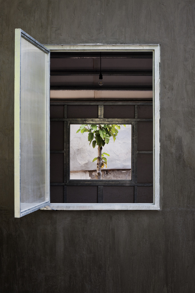 VTN_04_window.jpg