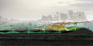 Image associated with the article: From Human to Holobiont: Reframing the Human/Nature Divide in Urban Architecture