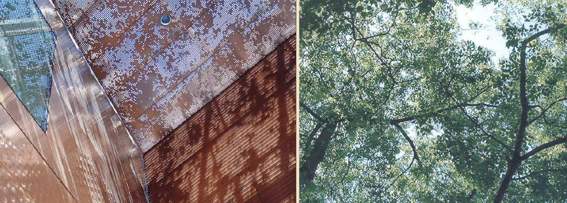 vdr_image_1.jpg