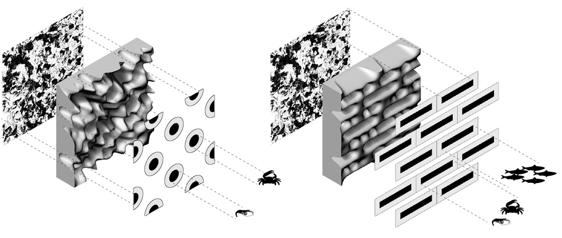 vdr_image_6.jpg