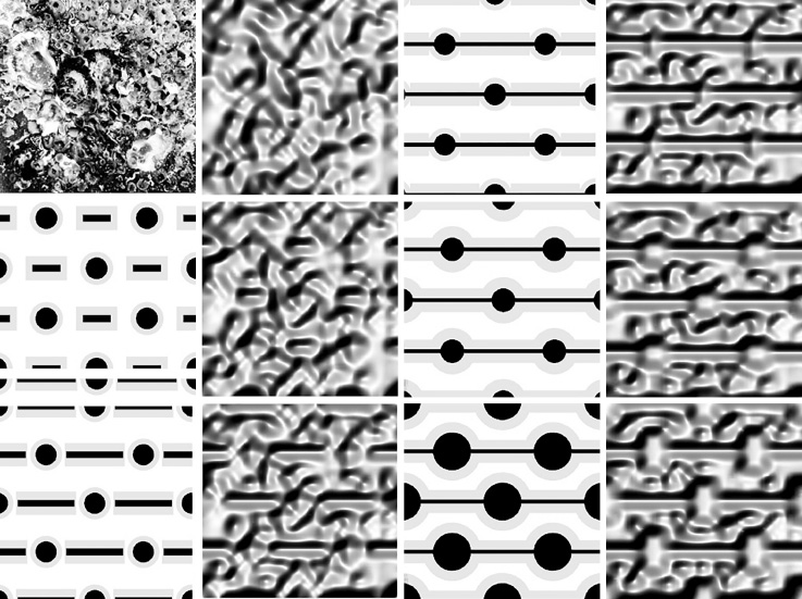 vdr_image_7.jpg