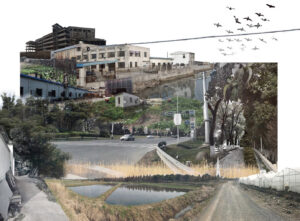 Image associated with the article: An Eco-Leap Forward: Shifting Agriculture